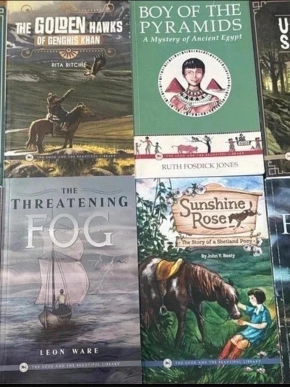 Step into Reading Level 3 book set
